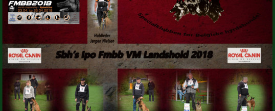 FMBB IPO VM 2018