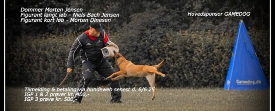 1. SBH VM UDTAGELSE D. 28-29 JUNI 2025