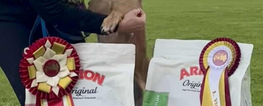 SBH Danmarks Mestre i LP 2025 kåret ved årets træf i Errindlev