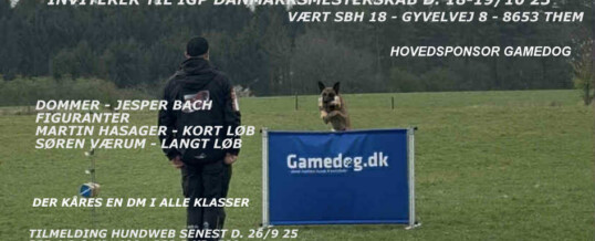 SBH IGP DM 2025 – resultater