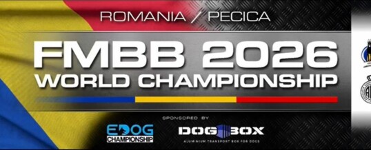 VM-point – FMBB IGP VM 2026