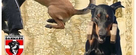 FMBB IGP VM udtagelser 2026