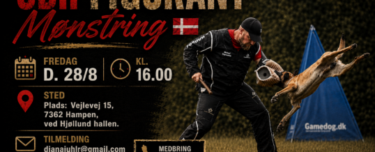 Invitation til SBH figurantmønstring
